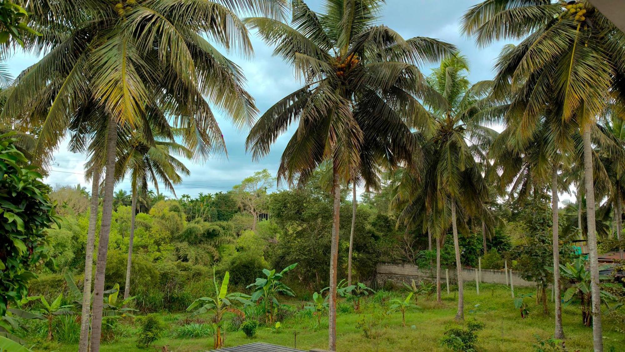 Flintstone Home Kushālnagar Exterior foto